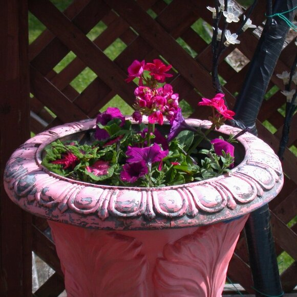 Vintage Nikon CoolPix 995 3.3MP Digital Camera Digicam Y2K Photography Travel - Picture 15 of 16